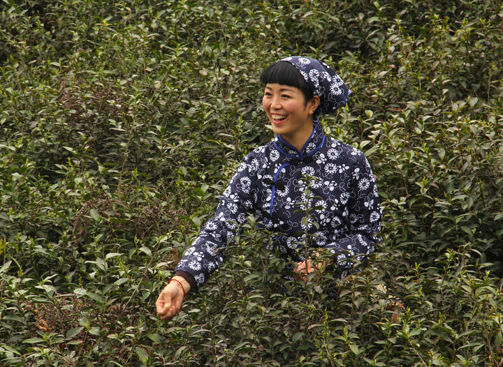 弹壳舞女 直播